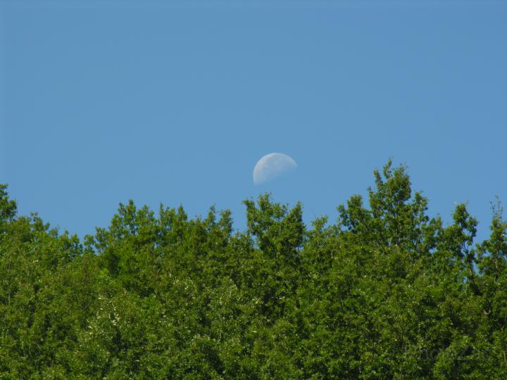 Luna di giorno.JPG